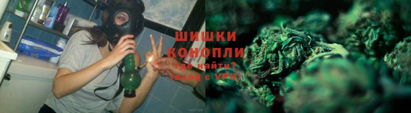 метадон Горнозаводск