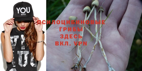 не бодяженный Горняк