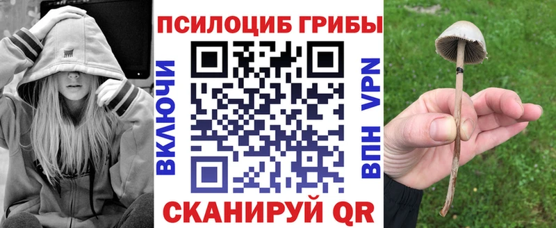Купить закладки  Мыски  Галлюциногенные грибы Magic Shrooms 